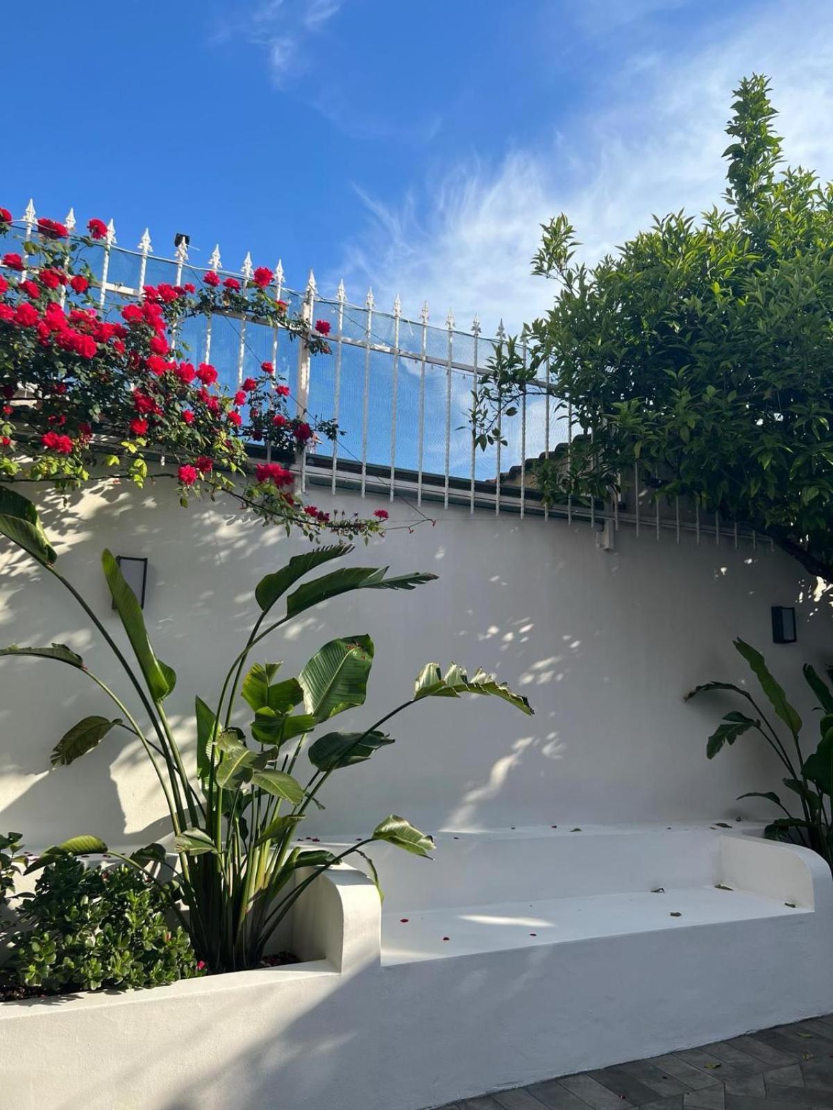 B&B Toci Volla  Exteriér fotografie